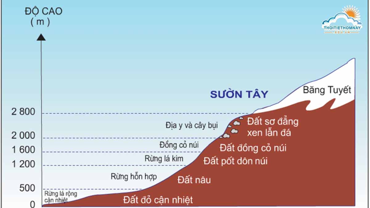 Nguyên nhân dẫn tới quy luật địa đới là gì