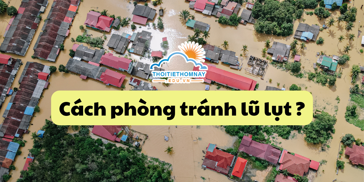 Cách phòng tránh lũ lụt là gì ?